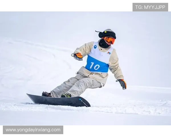 K8体育官方推出创新赛事数据分析工具，助力体育爱好者深度了解比赛细节